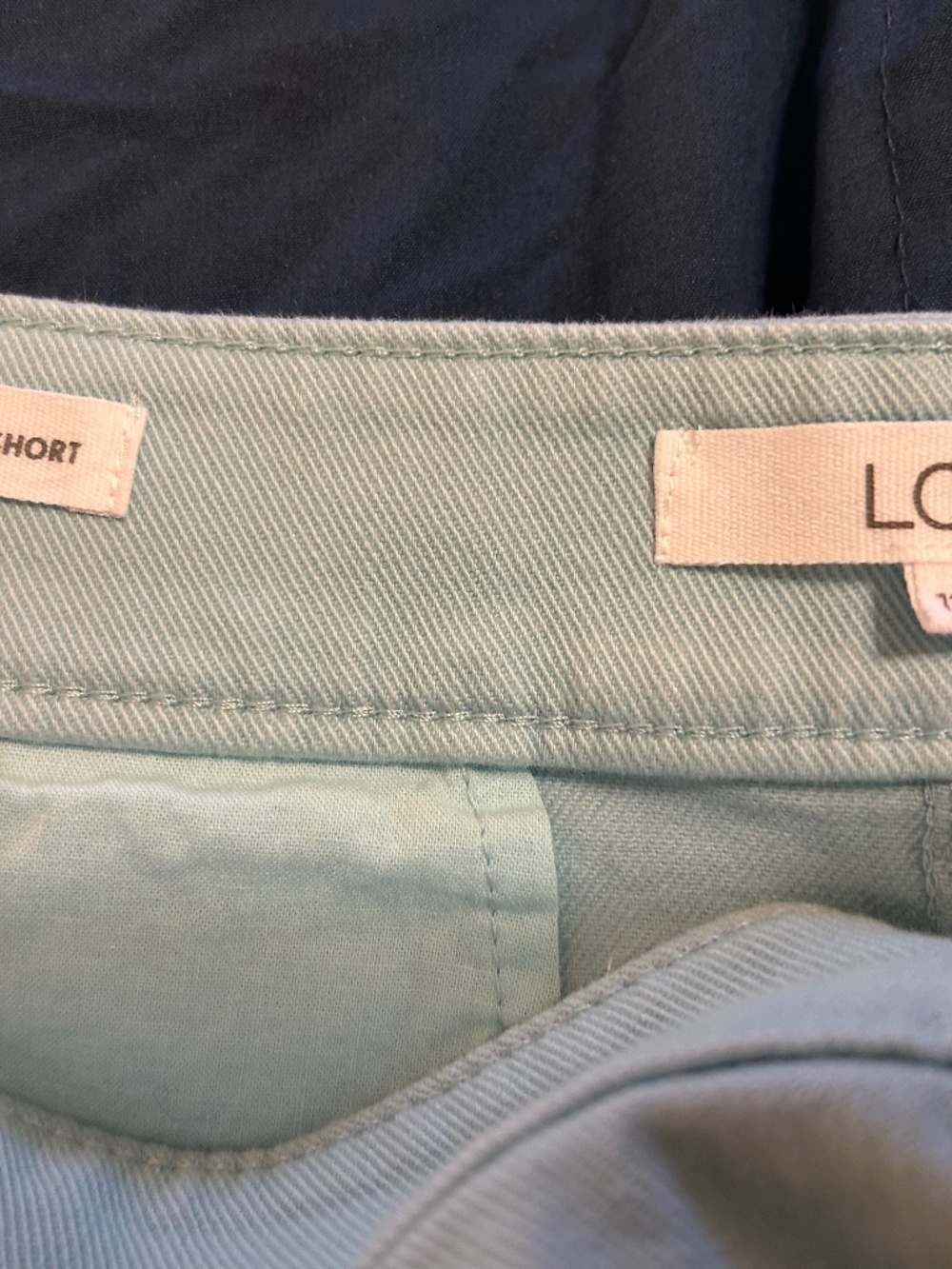 NWOT LOFT PALMER SHORT IN A LIGHT AQUA GREEN